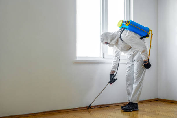 Best Commercial Pest Control Services  in Indian Hills, NV